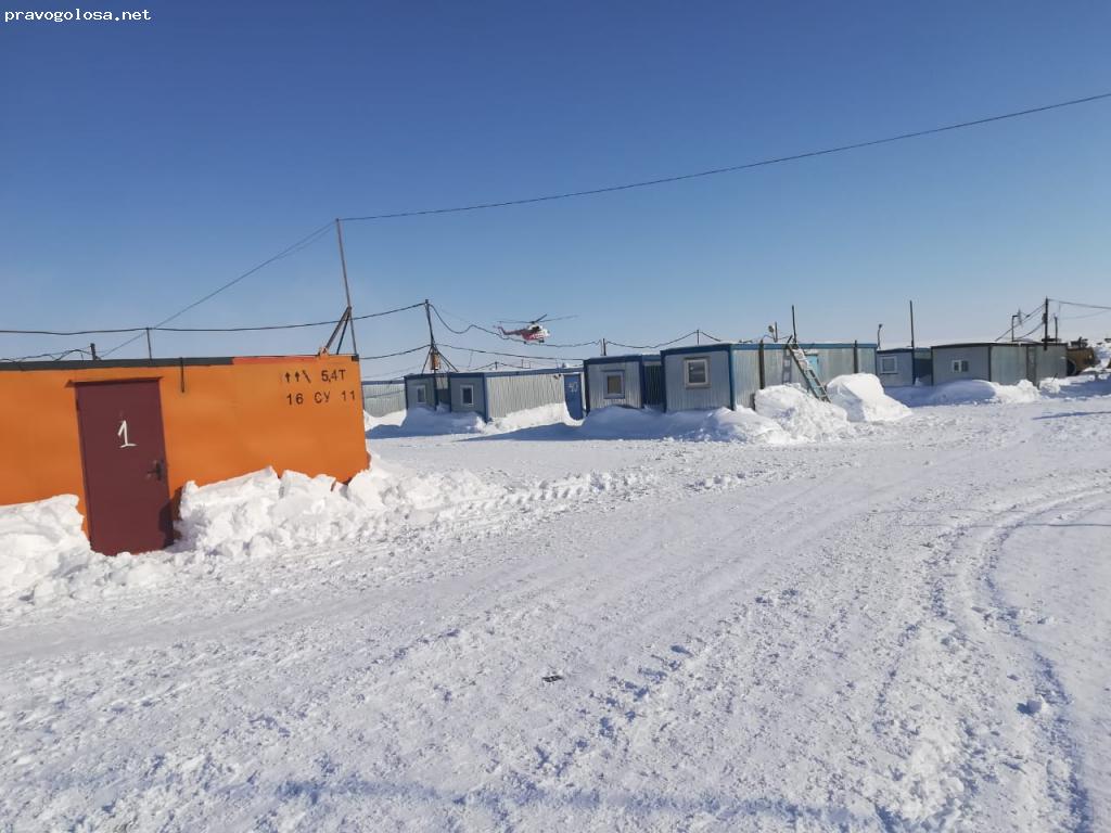 Сезар арктика остров большевик фото